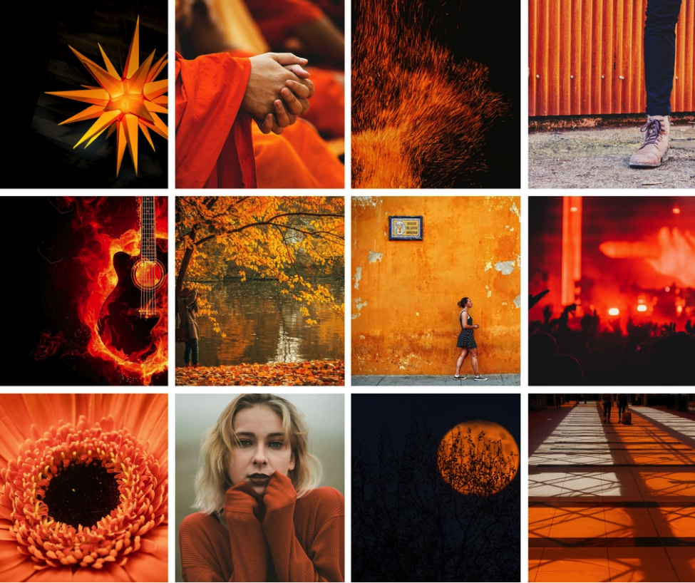 Color Psychology: The Warmth, Adventure and Independence of Orange