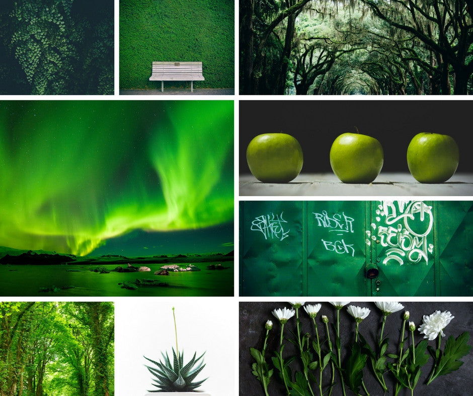 Color Psychology: Green, the Restorative Color for the Home