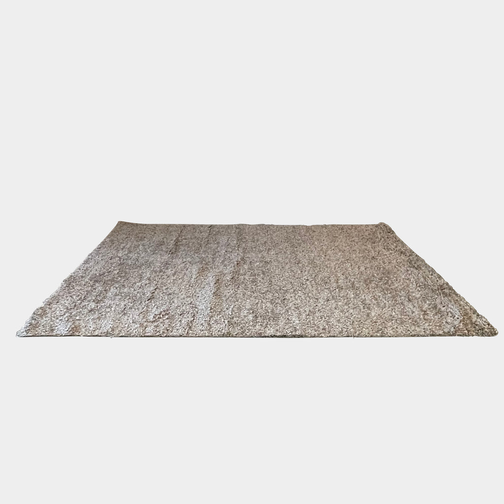 A Delinear Linen Neutrals Shag 8'X10' rug in a beige tone placed on a white background, perfect to pair with hardwood floors.