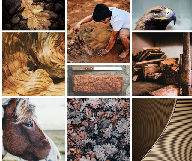 COLOR PSYCHOLOGY: What Will Brown Do for Your Home and Well-Being?