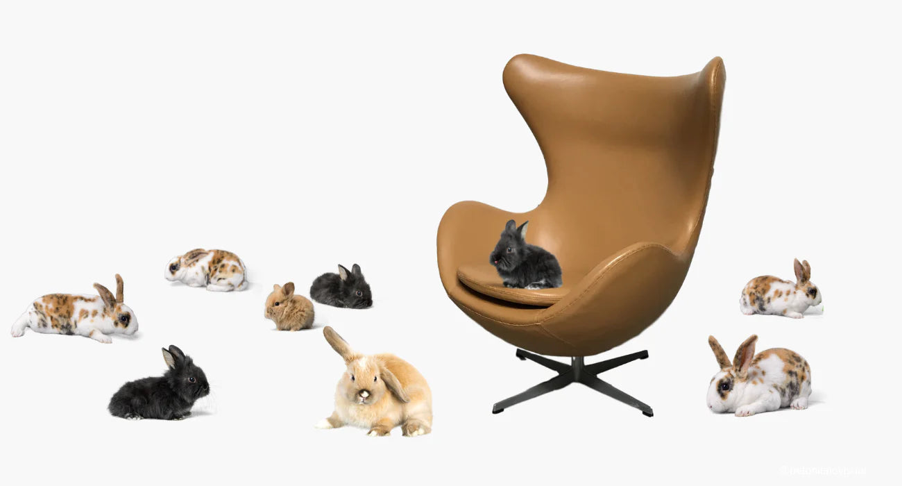 Egg™ Chairs of Instagram: 20 Real Homes with Arne Jacobsen's Famous Lounge Chair