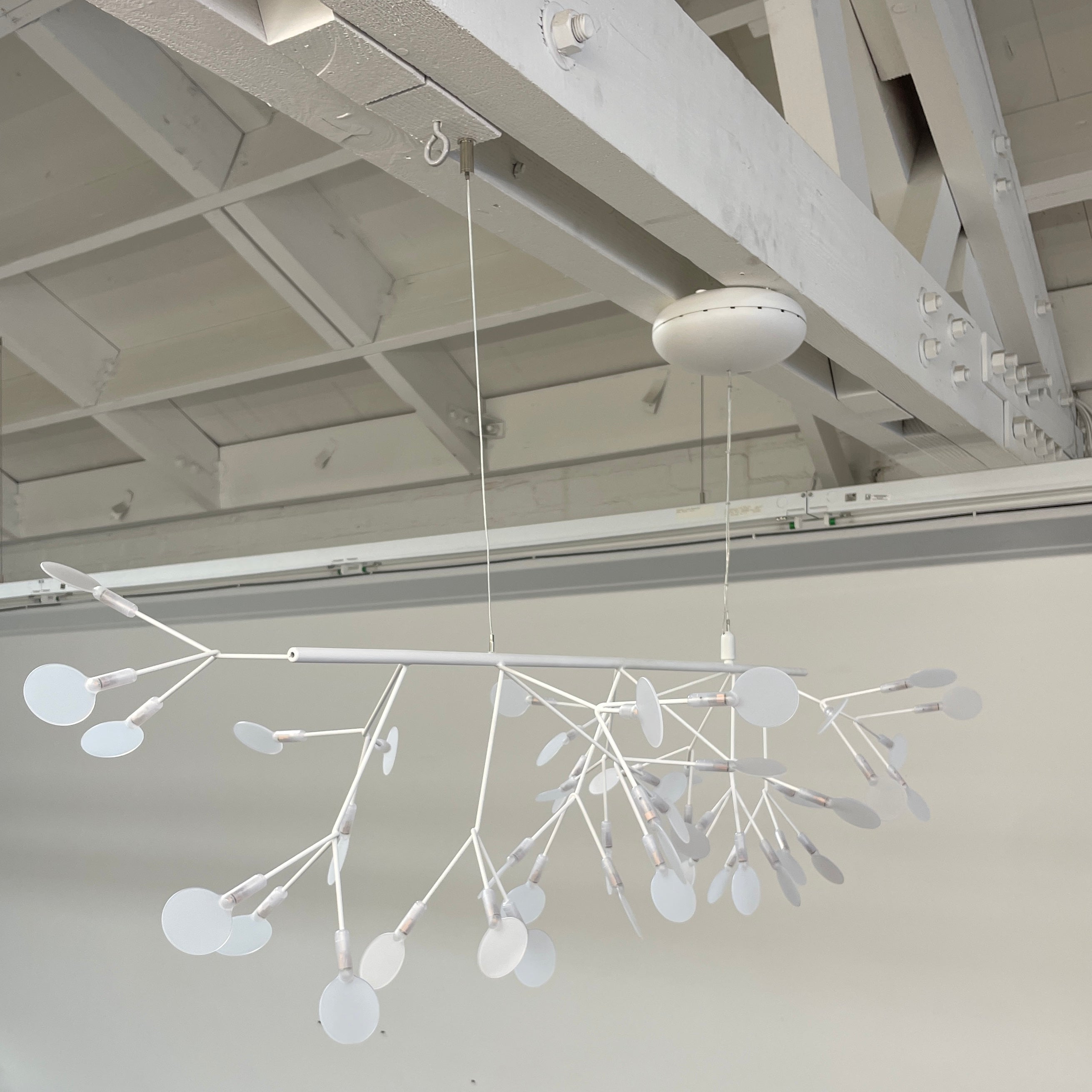 The Moooi Heracleum Endless LED Suspension Lamp-White is a modern chandelier featuring multiple radial branches ending in circular light diffusers, hanging from a single cord attached to a round ceiling mount.