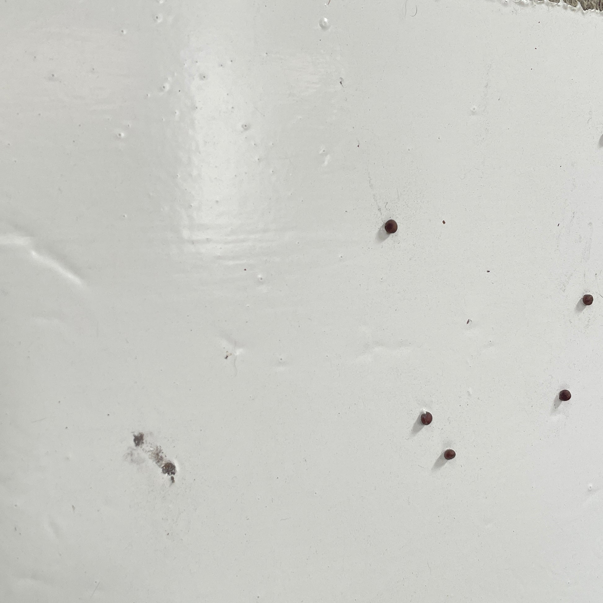 The diptych "Before We Met" by Allison Caesar displays a masterful mixed media technique: the left panel features intricately detailed gray, white, and yellow circles, while the right panel offers dynamic textures as yellow paint interacts with torn paper on a textured surface.