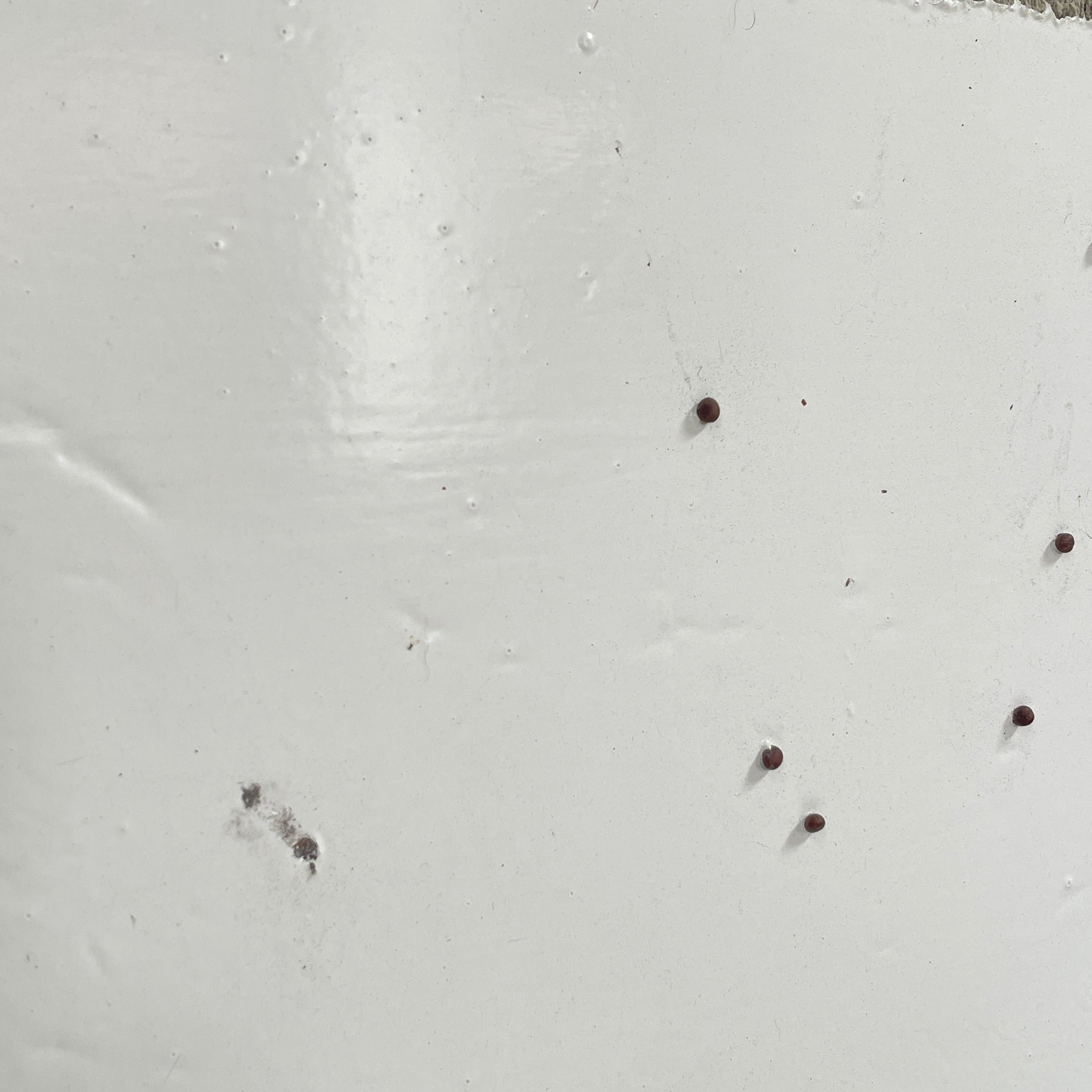 The diptych "Before We Met" by Allison Caesar displays a masterful mixed media technique: the left panel features intricately detailed gray, white, and yellow circles, while the right panel offers dynamic textures as yellow paint interacts with torn paper on a textured surface.