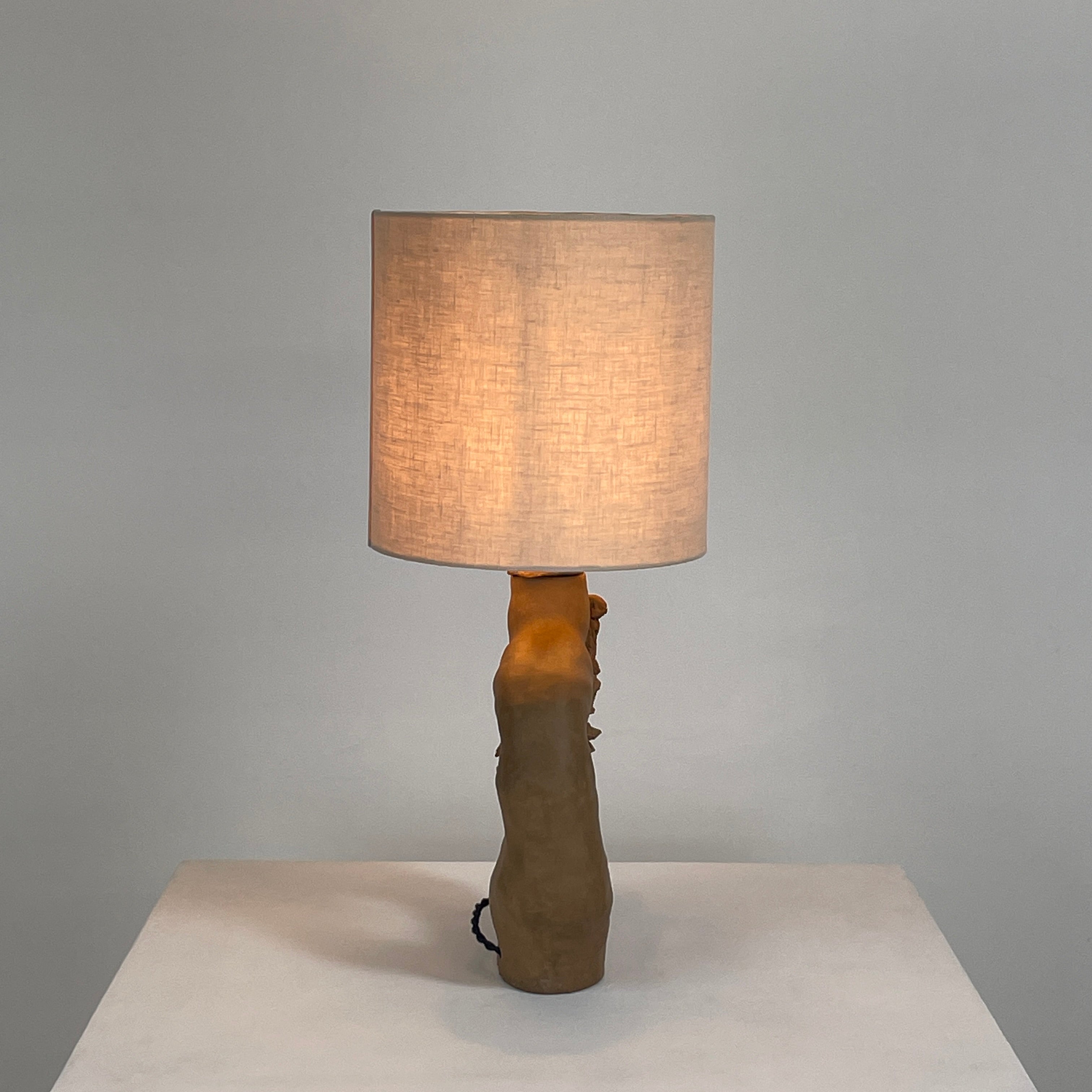 The Sofi Ceramic Arch Lamp by Sofi Ceramics is a distinctively designed table lamp with a twisting sculptural base and a cylindrical shade. Its hand-built ceramic elements softly illuminate against plain backgrounds.