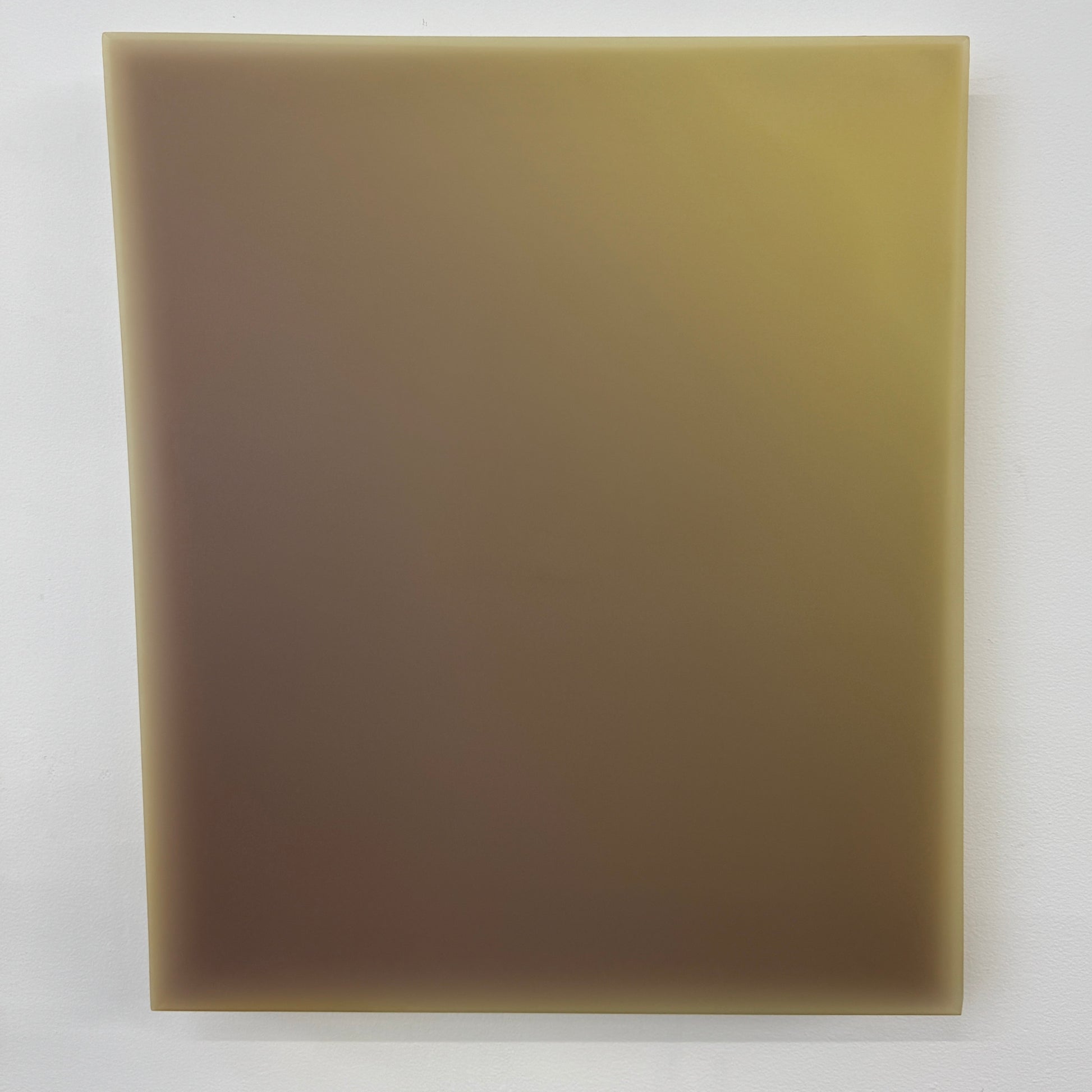 A single, irregularly shaped, flat sheet of yellowish-brown material—echoing Artist’s Painting: Gradient #8 Lisa Bartelson—is displayed against a white background.