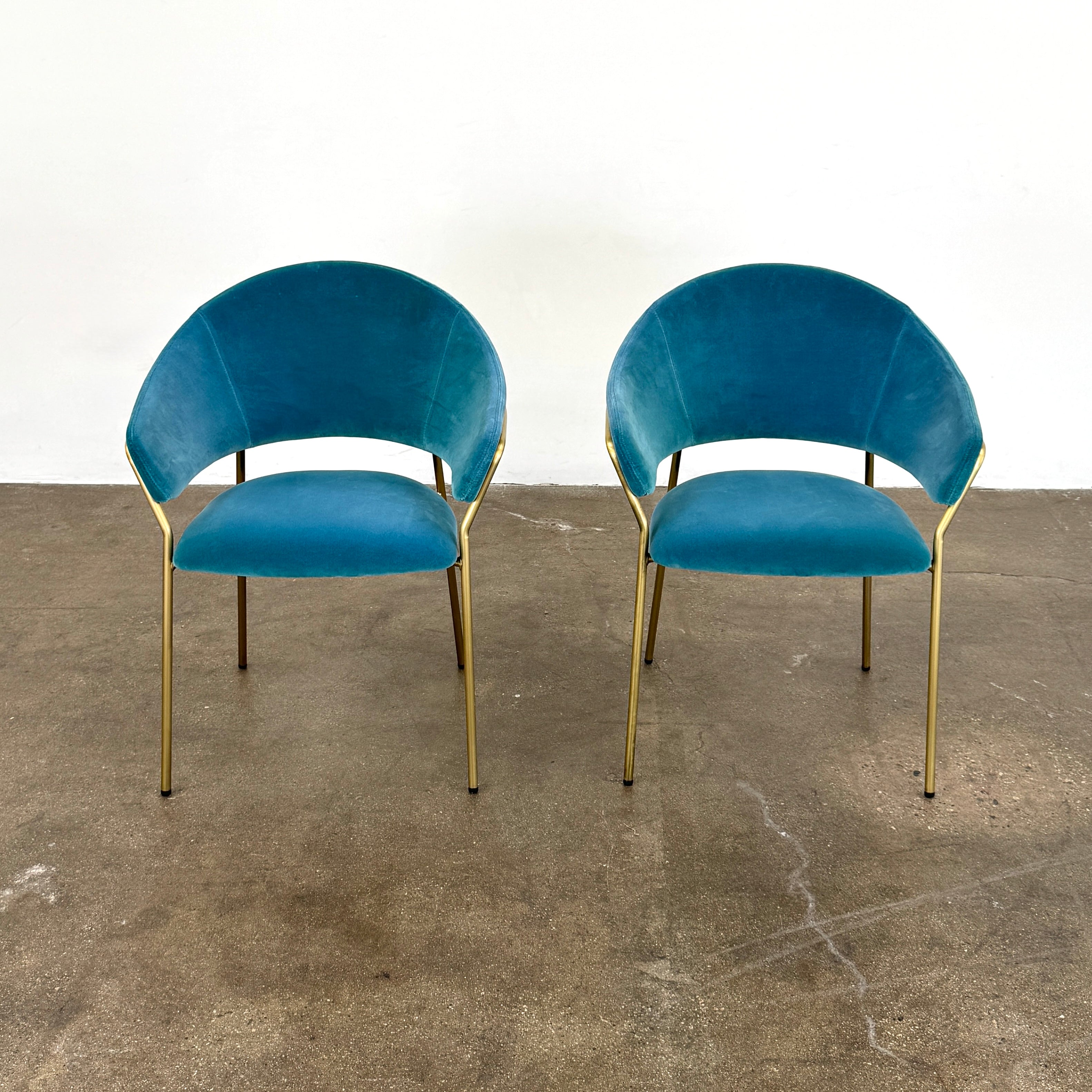 Two Pedrali Jazz Chairs by Pedrali, featuring customizable teal velvet upholstery and gold metal legs, sit side by side on a concrete floor against a white wall, highlighting their stylish steel structure.