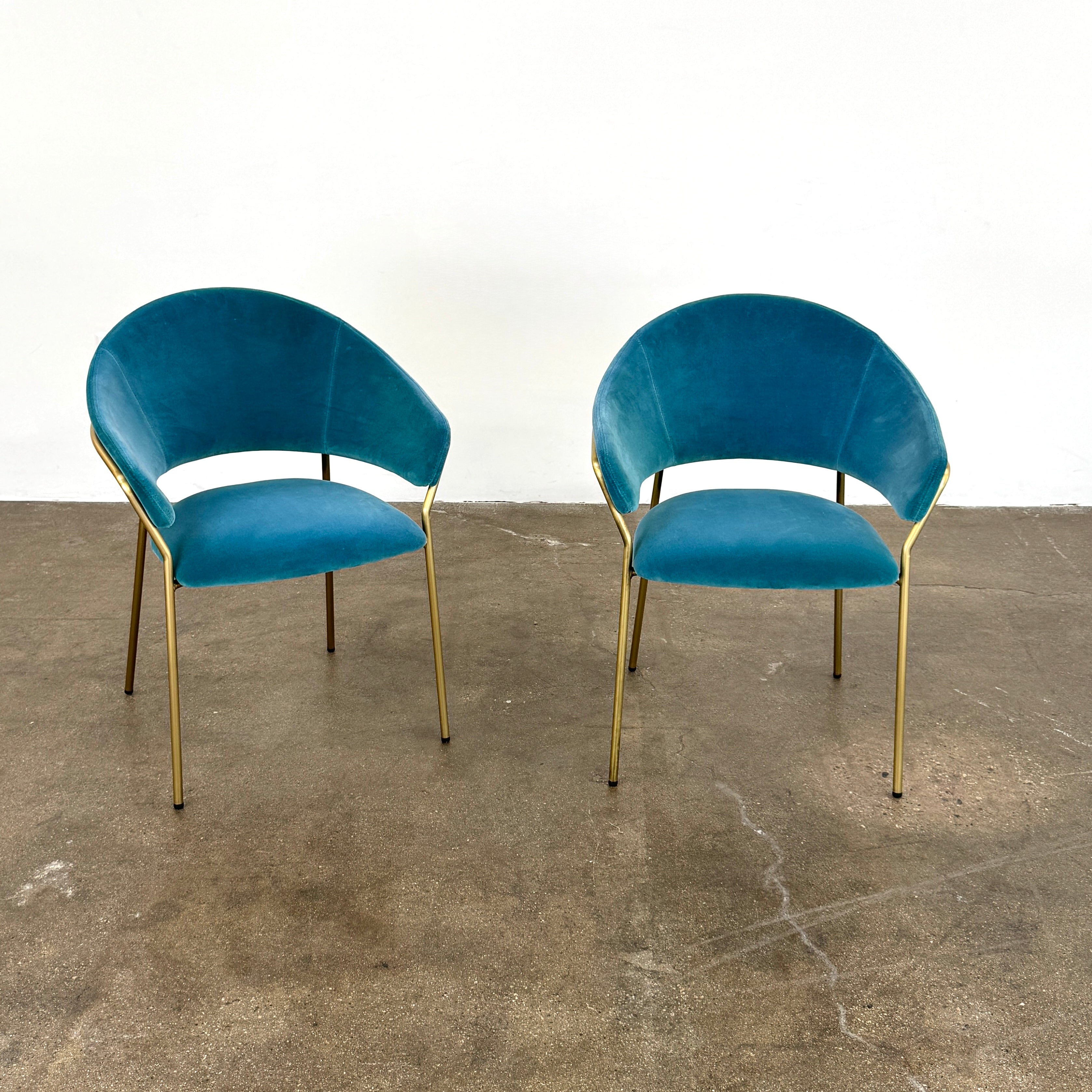 Two Pedrali Jazz Chairs by Pedrali, featuring customizable teal velvet upholstery and gold metal legs, sit side by side on a concrete floor against a white wall, highlighting their stylish steel structure.
