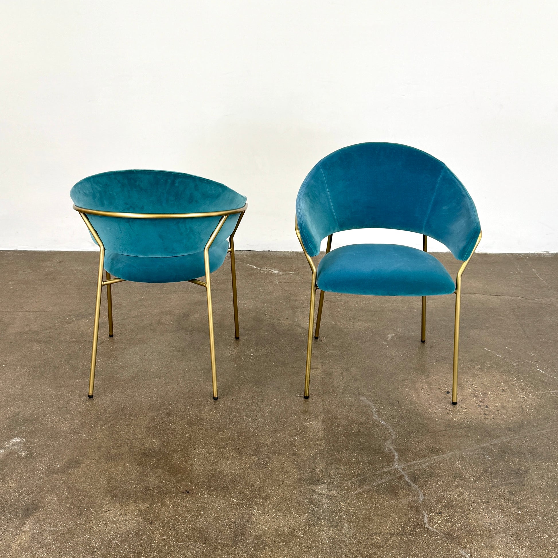 Two Pedrali Jazz Chairs by Pedrali, featuring customizable teal velvet upholstery and gold metal legs, sit side by side on a concrete floor against a white wall, highlighting their stylish steel structure.