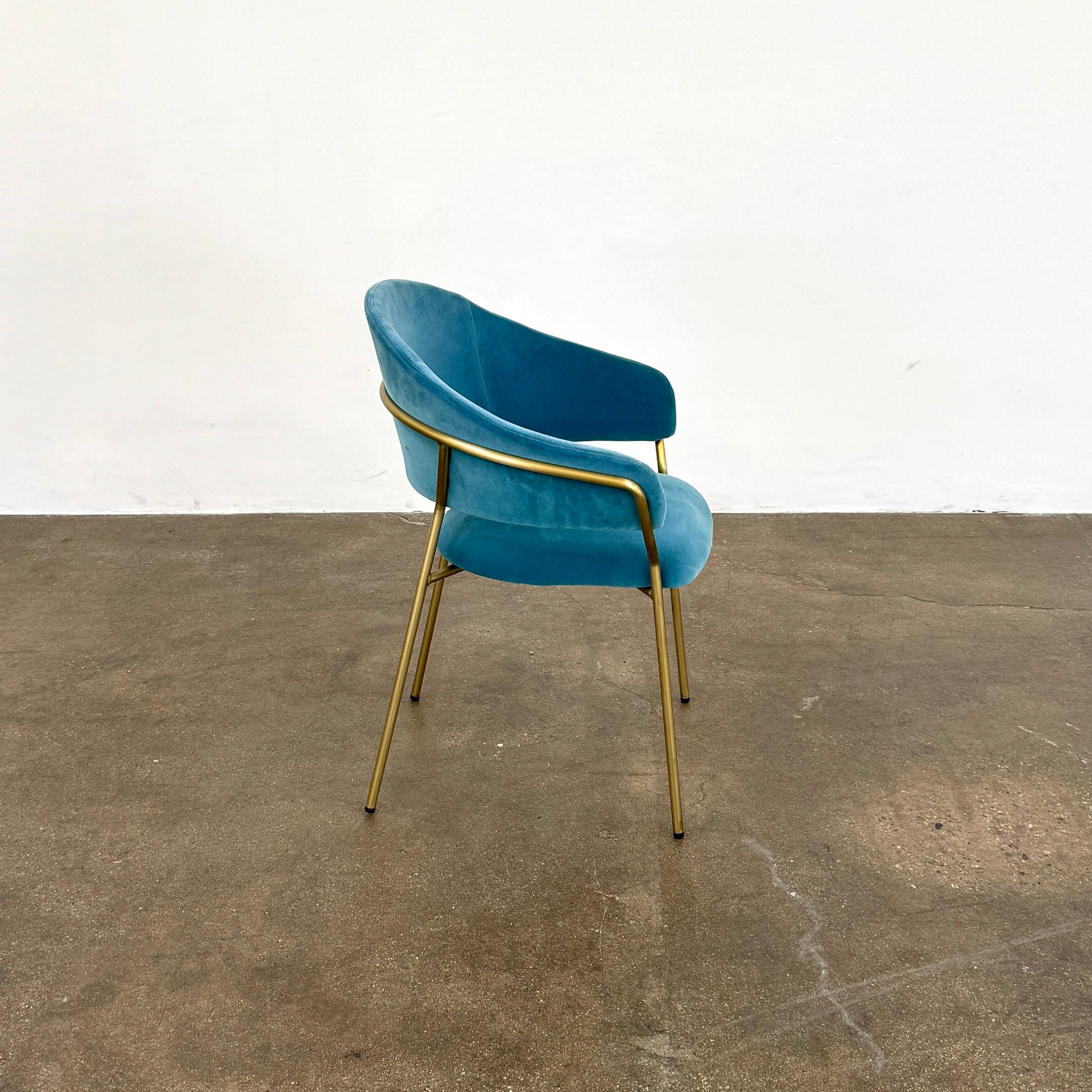 Two Pedrali Jazz Chairs by Pedrali, featuring customizable teal velvet upholstery and gold metal legs, sit side by side on a concrete floor against a white wall, highlighting their stylish steel structure.