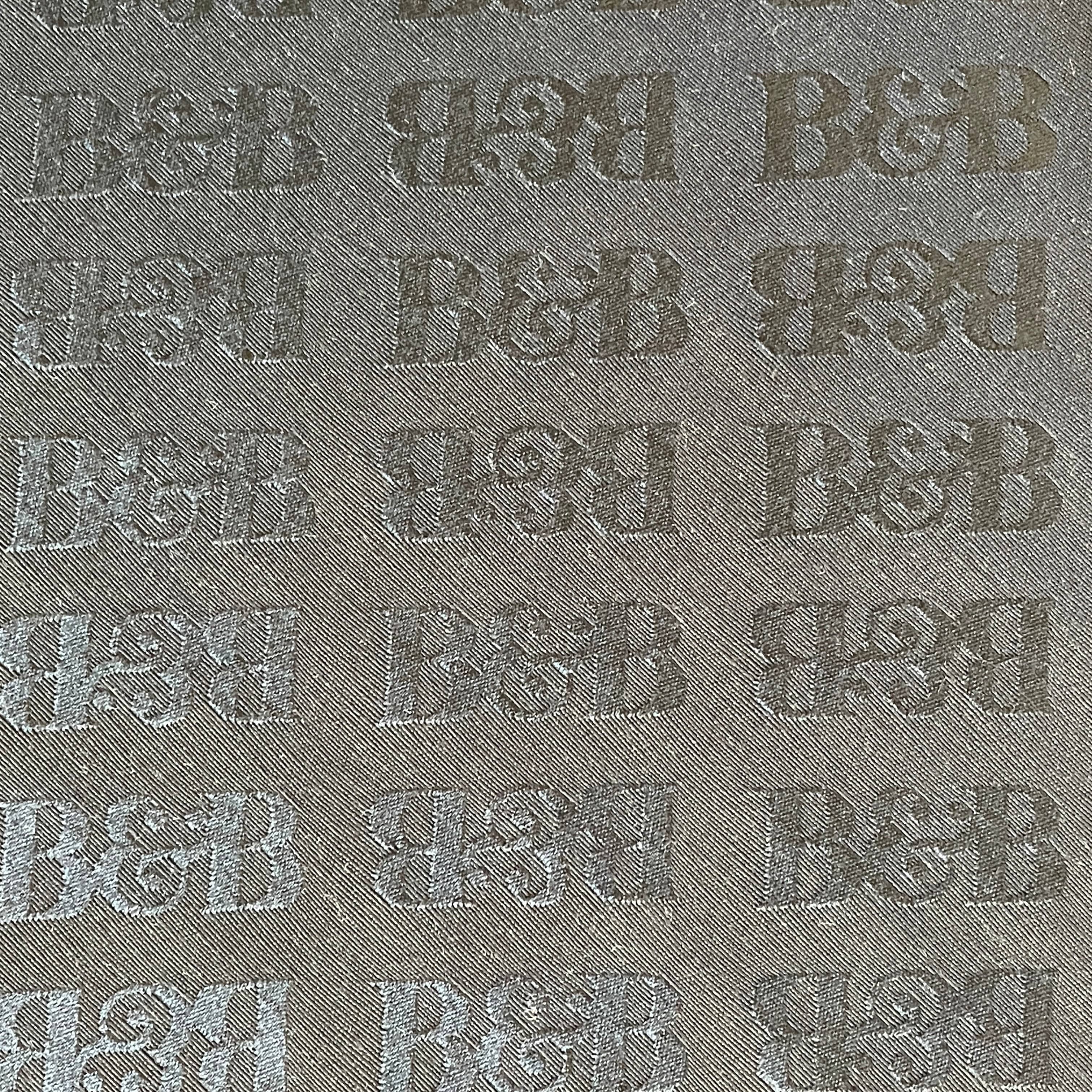 A B&B Italia Ray Outdoor Sofas with cushions on a white background.