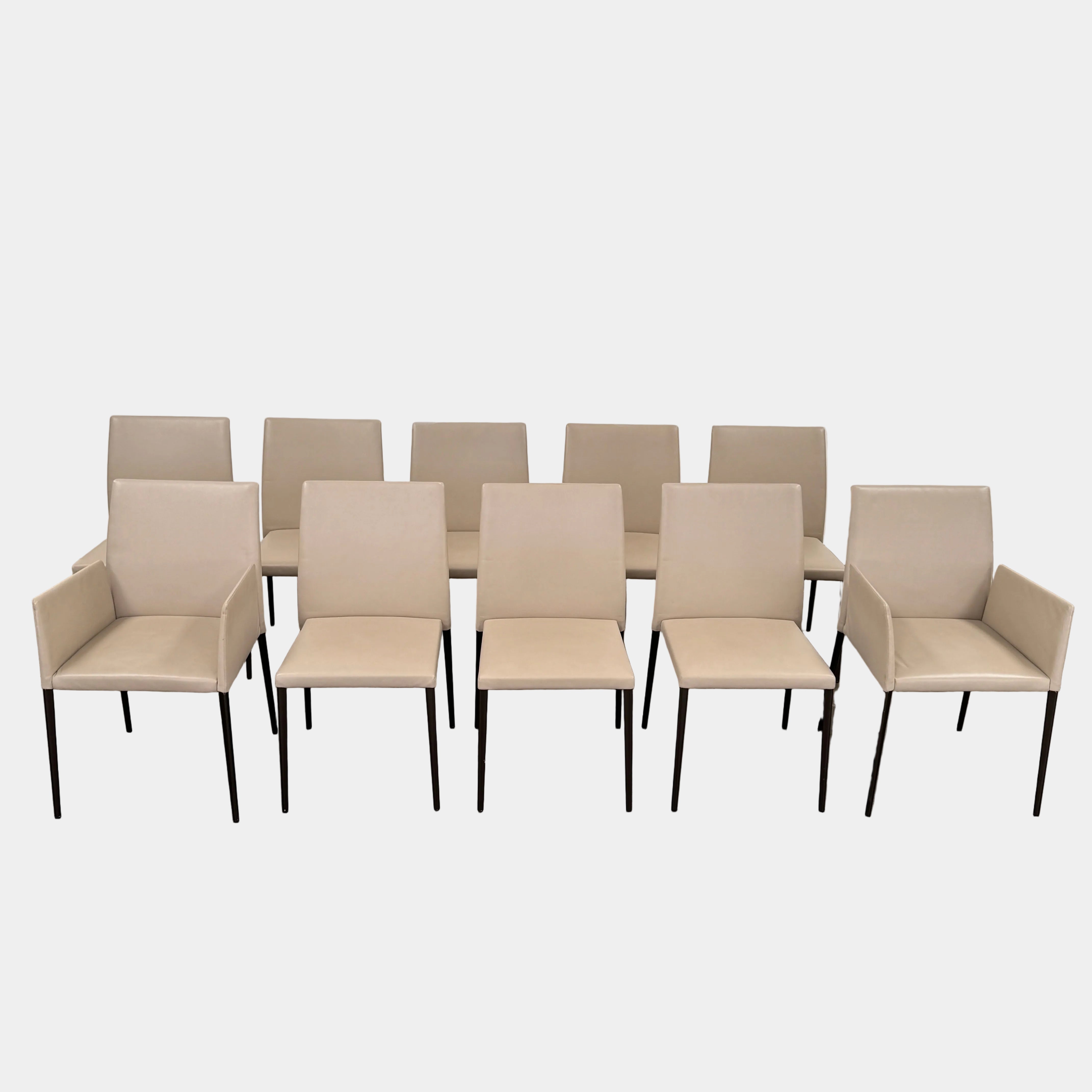 A set of Walter Knoll Deen Dining Chairs (2 armchairs, 8 side chairs) by Walter Knoll with beige upholstery and black legs are arranged in three rows on a brown concrete floor against a plain white wall.