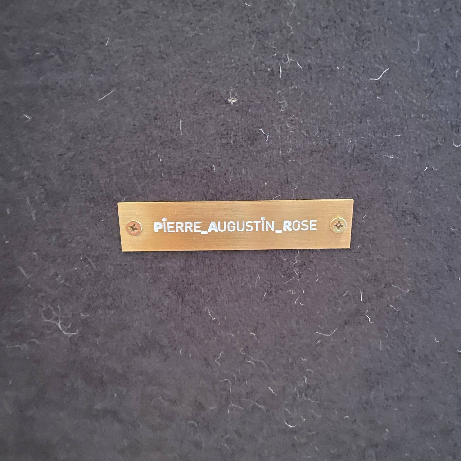 A pair of Pierre Augustin Rose Le Minotaure Armchairs on a white background by Pierre Augustin Rose.