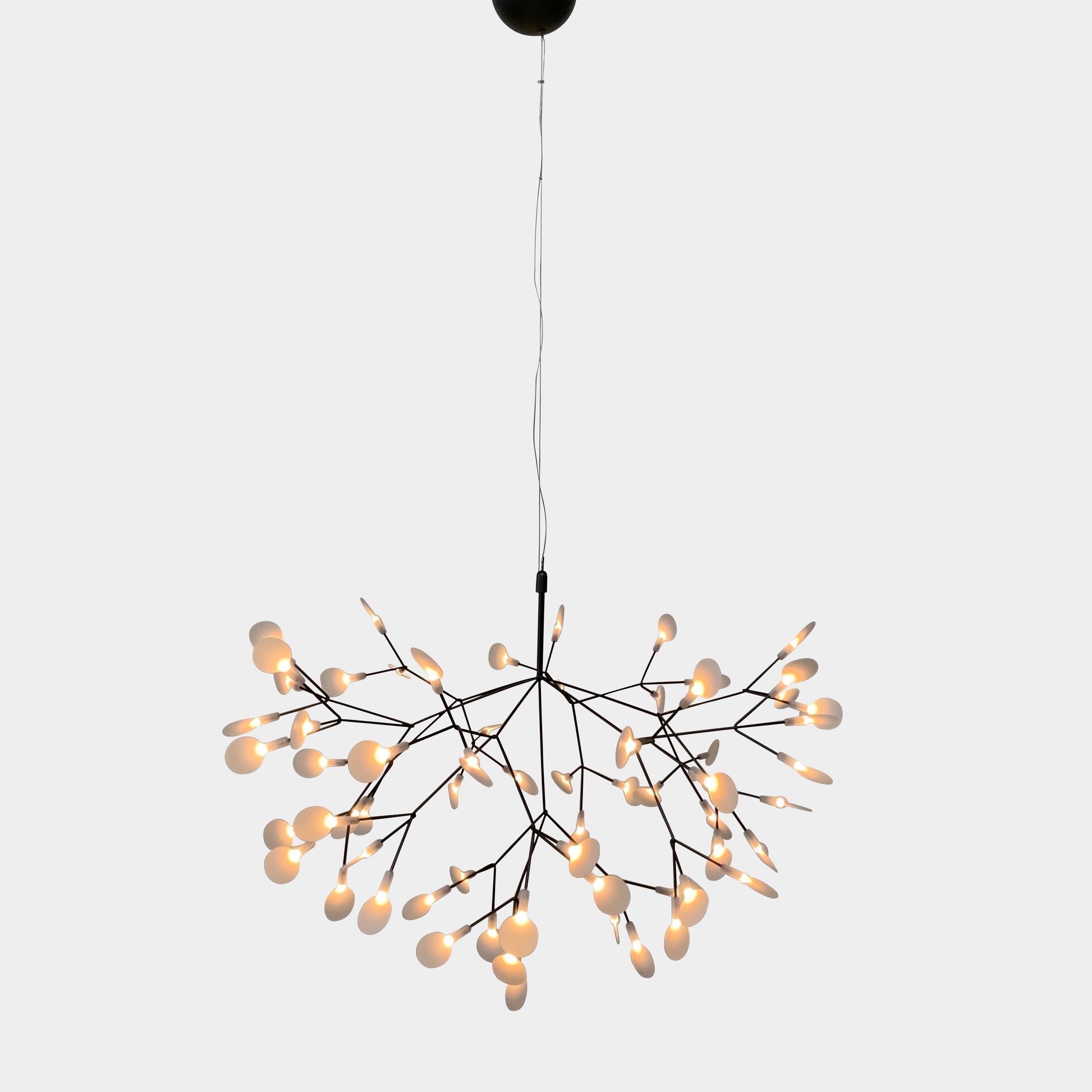 Heracleum Chandelier, Lighting - Modern Resale
