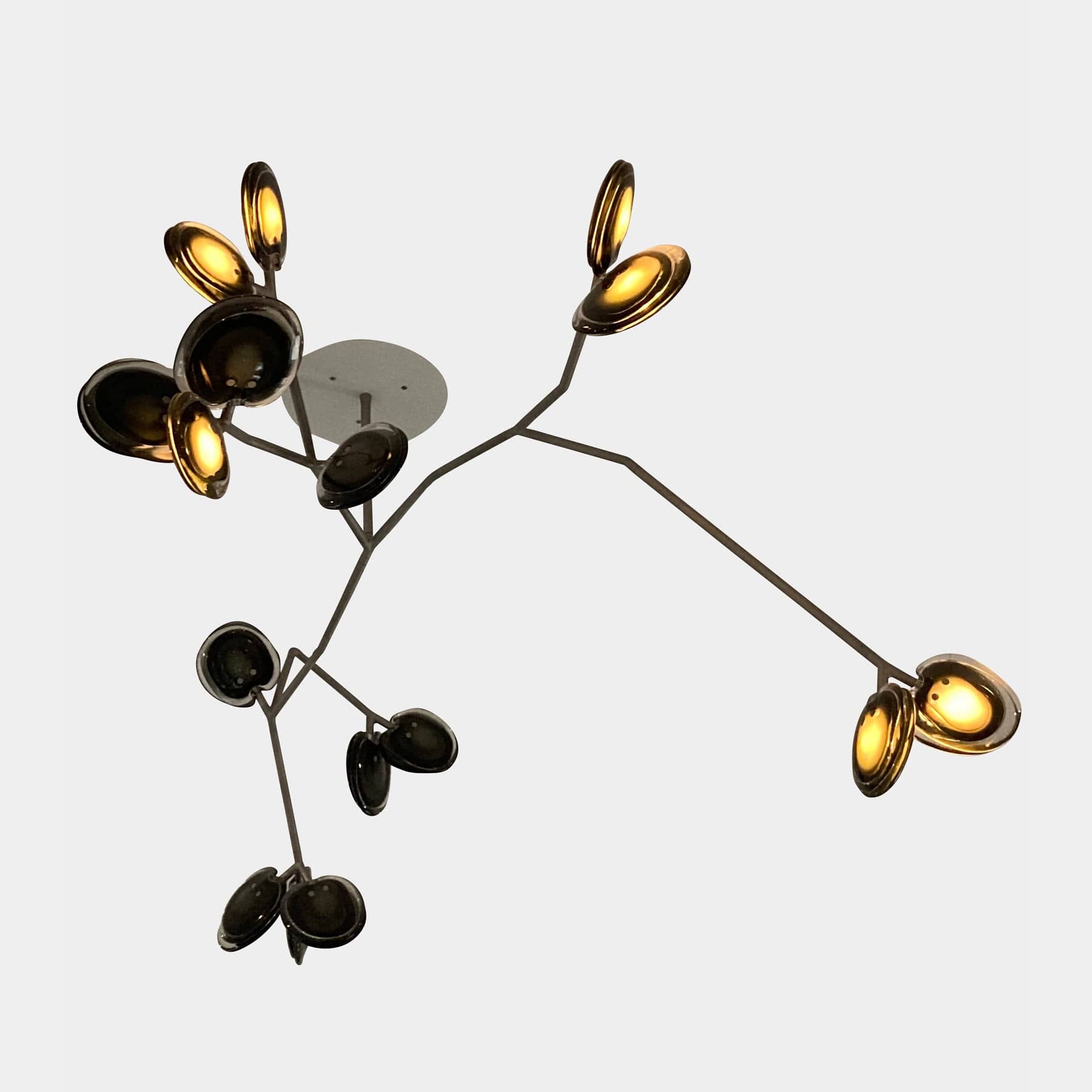 The Bocci Armature Chandelier T16.17aA1 by Bocci features multiple black branches with round, illuminated bulbs extending from a central base, offering a modern ceiling light fixture design inspired by contemporary aesthetics.