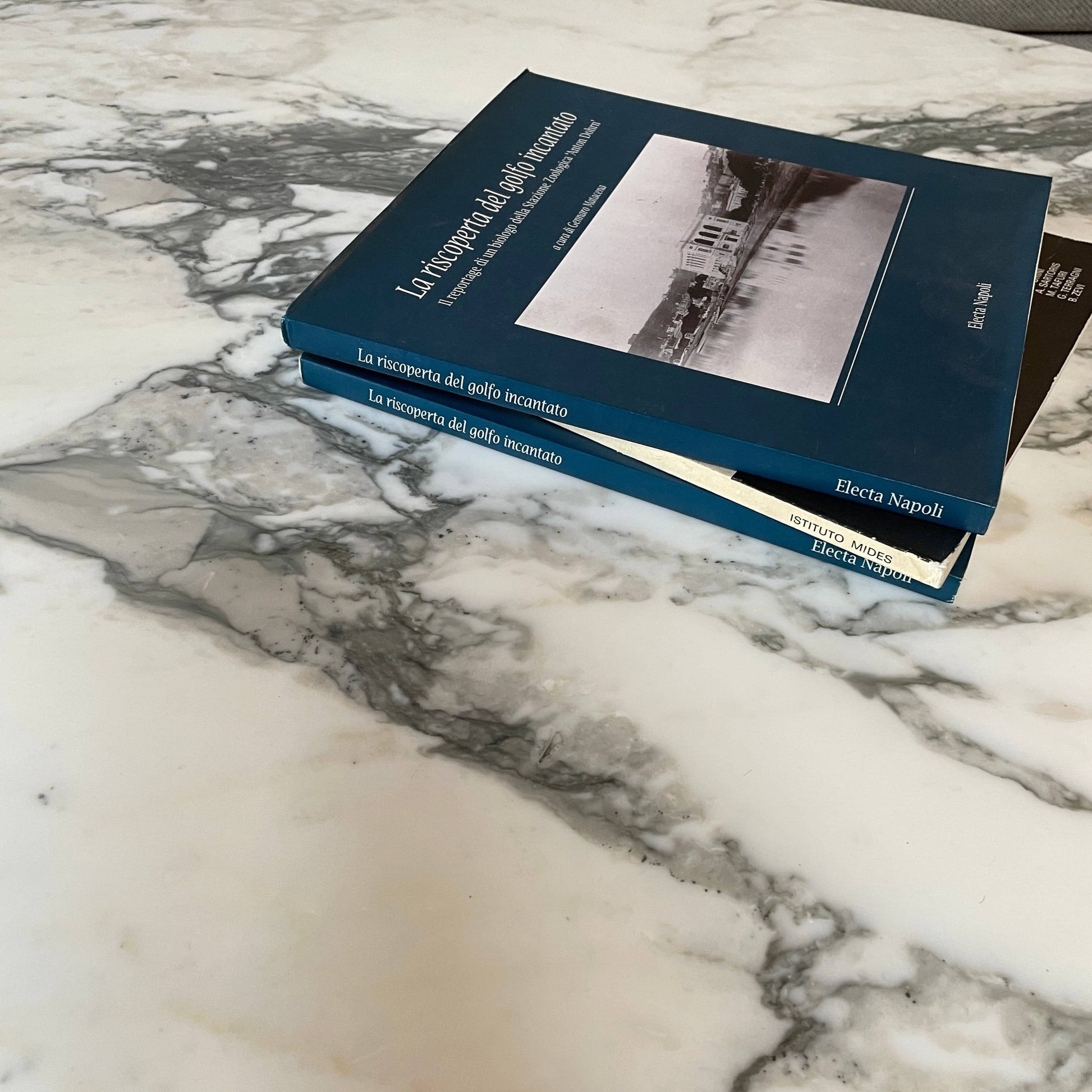 Saarinen Oval Pedestal Coffee Table, Coffee Tables - Modern Resale