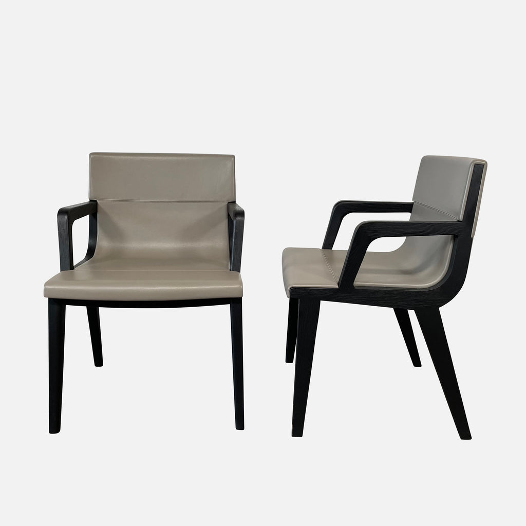 Acanto Arm Chairs, Dining Chairs - Modern Resale