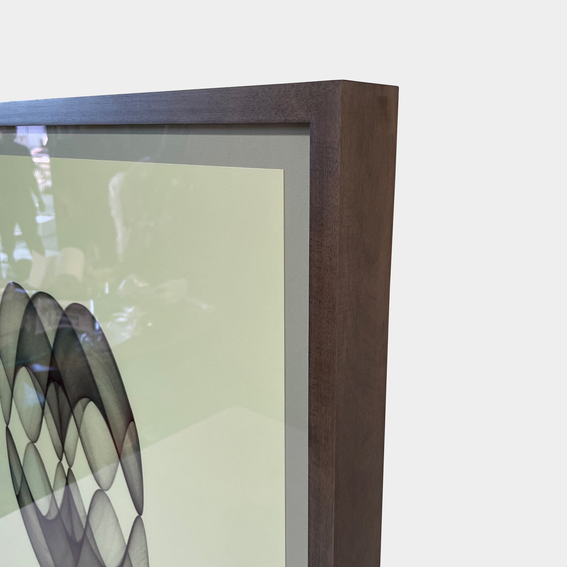 Framed Print: Anima, Art & Prints - Modern Resale