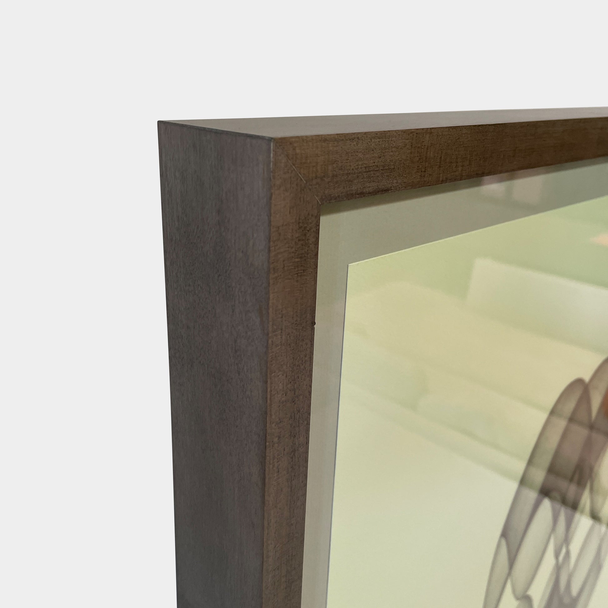 Framed Print: Anima, Art & Prints - Modern Resale