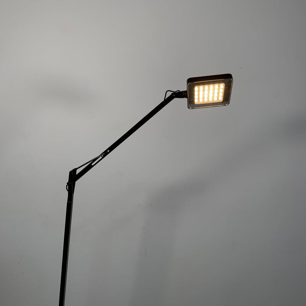Kelvin Floor Lamp, Floor Lamp - Modern Resale