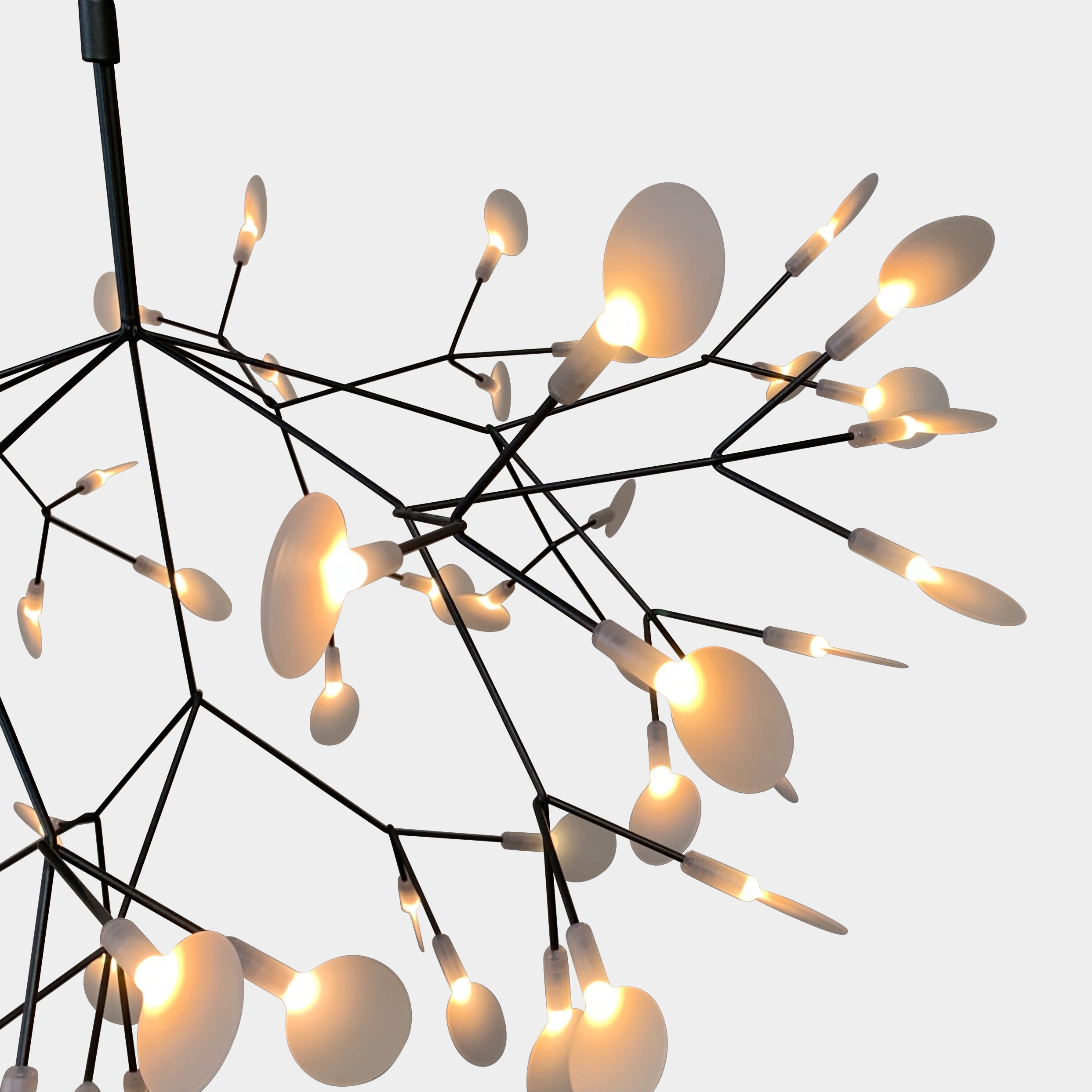 Heracleum Chandelier, Lighting - Modern Resale