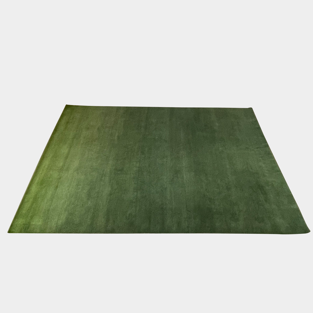 A Delinear Green Ombre Apple Fade Rug #1 made from Himalayan wool on a white background.