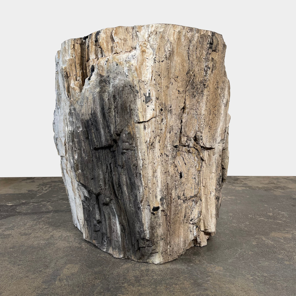 Petrified Wood Stump side table, Side Table - Modern Resale
