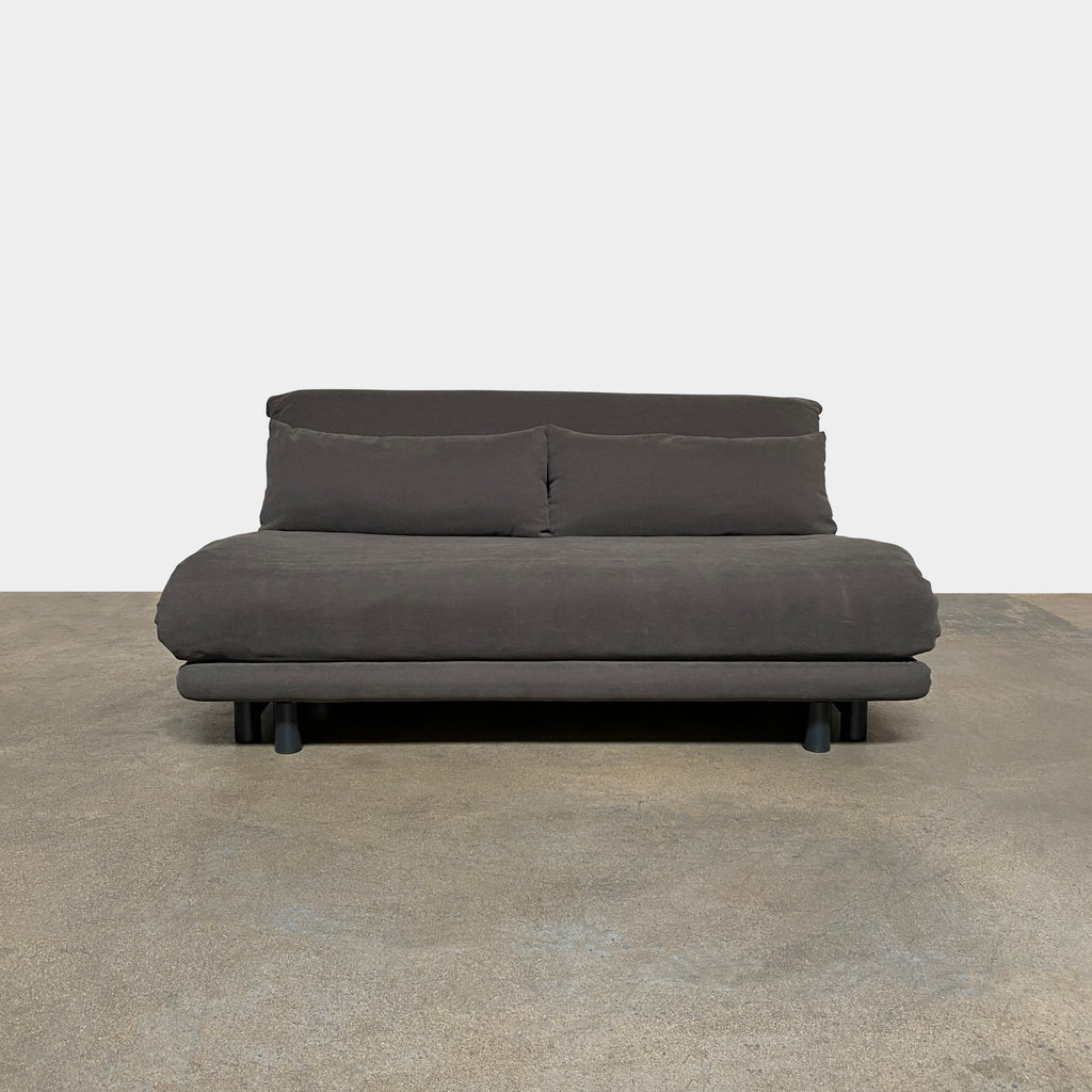 Multy Premier Sleeper Sofa, Sofa Bed - Modern Resale